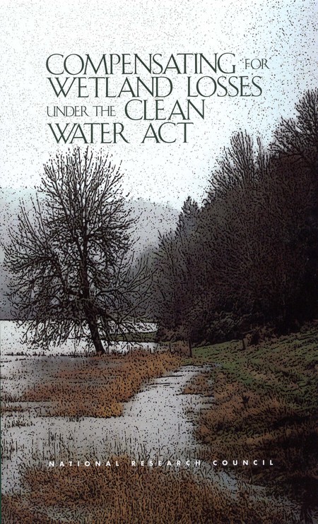 Compensating for Wetland Losses Under the Clean Water Act