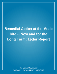 Cover Image: Remedial Action at the Moab Site: Now and for the Long Term
