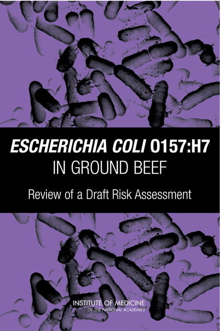 Escherichia coli O157:H7 in Ground Beef: Review of a Draft Risk Assessment