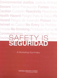 Safety is Seguridad: A Workshop Summary