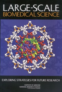 Large-Scale Biomedical Science: Exploring Strategies for Future Research