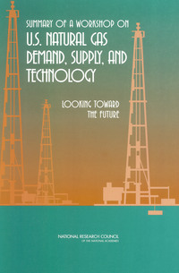 Summary of a Workshop on U.S. Natural Gas Demand, Supply, and Technology: Looking Toward the Future