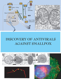 Discovery of Antivirals Against Smallpox: Executive Summary