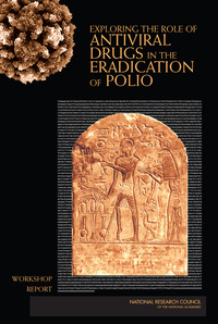 Exploring the Role of Antiviral Drugs in the Eradication of Polio: Workshop Report