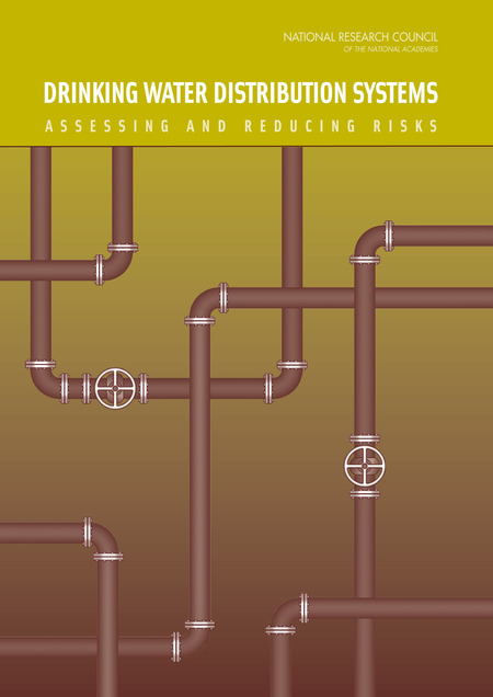 Cover: Drinking Water Distribution Systems: Assessing and Reducing Risks