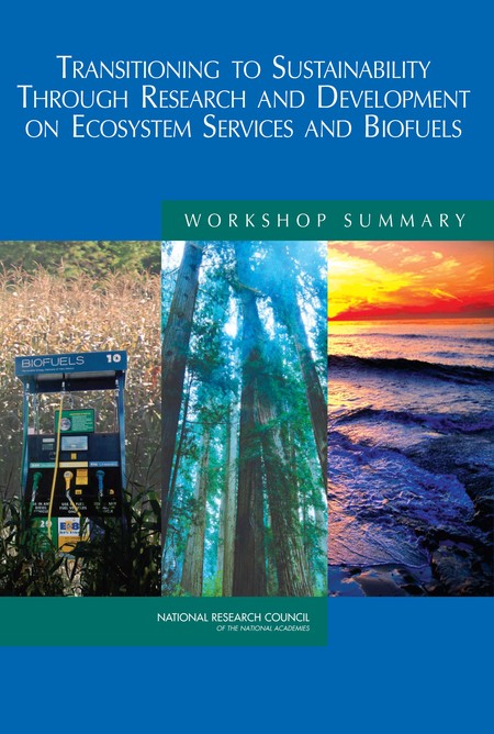 Transitioning to Sustainability Through Research and Development on Ecosystem Services and Biofuels: Workshop Summary