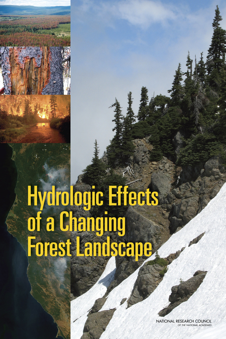 Cover: Hydrologic Effects of a Changing Forest Landscape