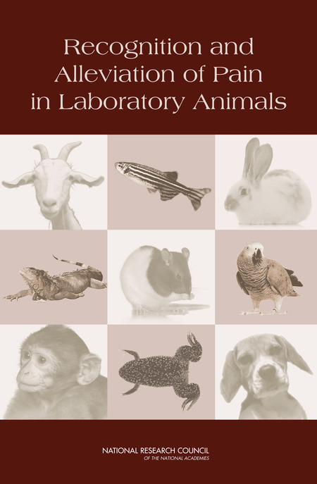 3 Recognition and Assessment of Pain | Recognition and Alleviation of Pain  in Laboratory Animals |The National Academies Press