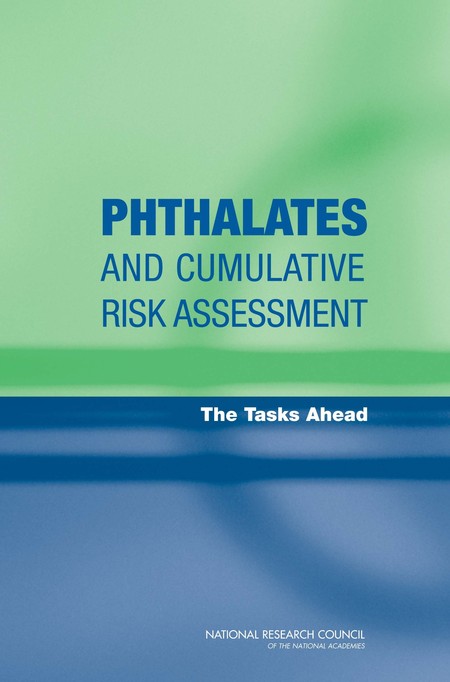 Cover: Phthalates and Cumulative Risk Assessment: The Tasks Ahead