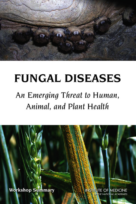 Workshop Overview | Fungal Diseases: An Emerging Threat to Human, Animal,  and Plant Health: Workshop Summary |The National Academies Press