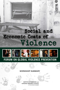 Social and Economic Costs of Violence: Workshop Summary