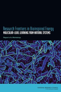 Research Frontiers in Bioinspired Energy: Molecular-Level Learning from Natural Systems: Report of a Workshop