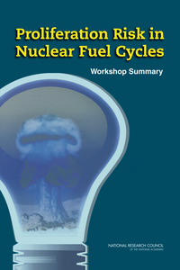 Proliferation Risk in Nuclear Fuel Cycles: Workshop Summary