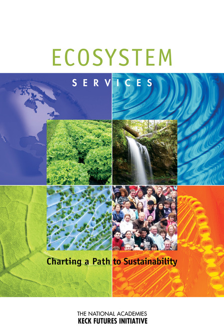Ecosystem Services: Charting a Path to Sustainability: Interdisciplinary Research Team Summaries