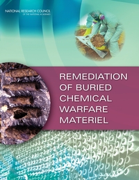 Remediation of Buried Chemical Warfare Materiel