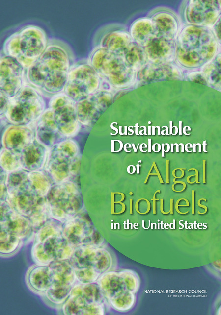 Cover: Sustainable Development of Algal Biofuels in the United States