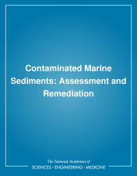 Contaminated Marine Sediments: Assessment and Remediation