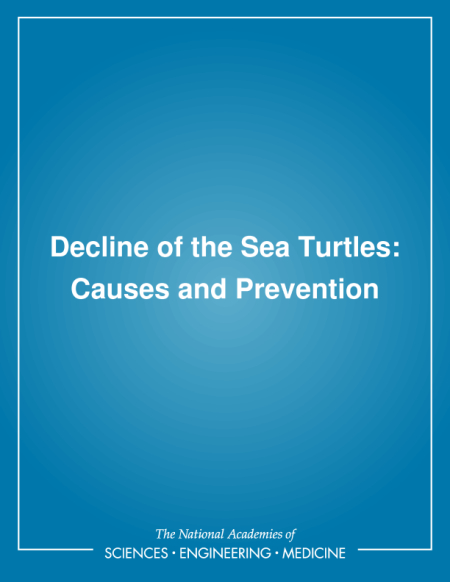 Decline of the Sea Turtles: Causes and Prevention