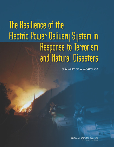 Cover: The Resilience of the Electric Power Delivery System in Response to Terrorism and Natural Disasters: Summary of a Workshop