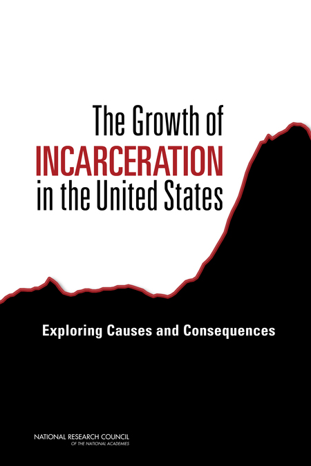 Cover: The Growth of Incarceration in the United States: Exploring Causes and Consequences