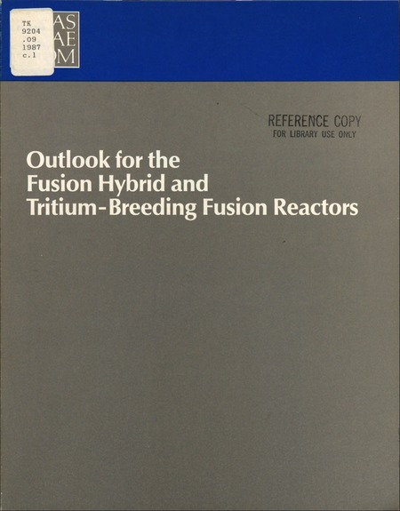 Outlook for the Fusion Hybrid and Tritium-Breeding Fusion Reactors: A Report