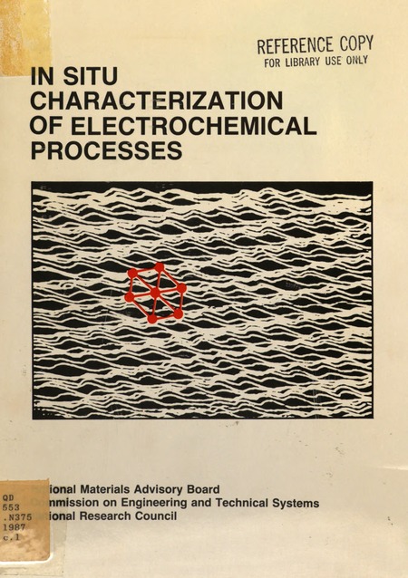 In Situ Characterization of Electrochemical Processes