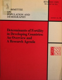 Determinants of Fertility in Developing Countries: An Overview and a Research Agenda