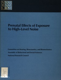 Prenatal Effects of Exposure to High-Level Noise