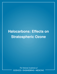 Halocarbons: Effects on Stratospheric Ozone