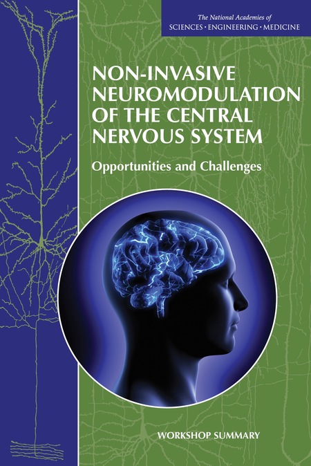 Non-Invasive Neuromodulation of the Central Nervous System: Opportunities and Challenges: Workshop Summary