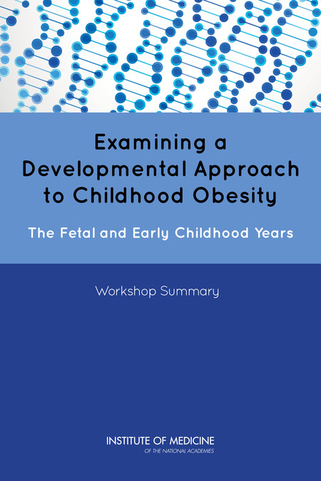 Cover: Examining a Developmental Approach to Childhood Obesity: The Fetal and Early Childhood Years: Workshop Summary