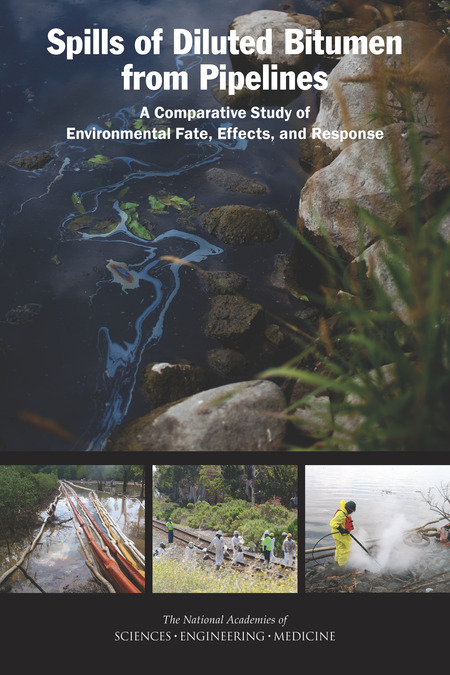 Spills of Diluted Bitumen from Pipelines: A Comparative Study of Environmental Fate, Effects, and Response