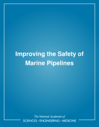 Improving the Safety of Marine Pipelines