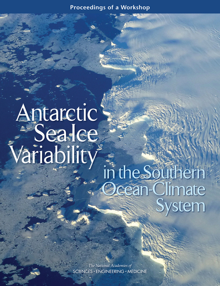 Antarctic Sea Ice Variability in the Southern Ocean-Climate System: Proceedings of a Workshop