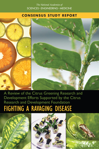 A Review of the Citrus Greening Research and Development Efforts Supported by the Citrus Research and Development Foundation: Fighting a Ravaging Disease