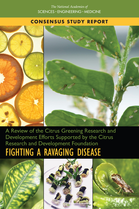 Cover: A Review of the Citrus Greening Research and Development Efforts Supported by the Citrus Research and Development Foundation: Fighting a Ravaging Disease