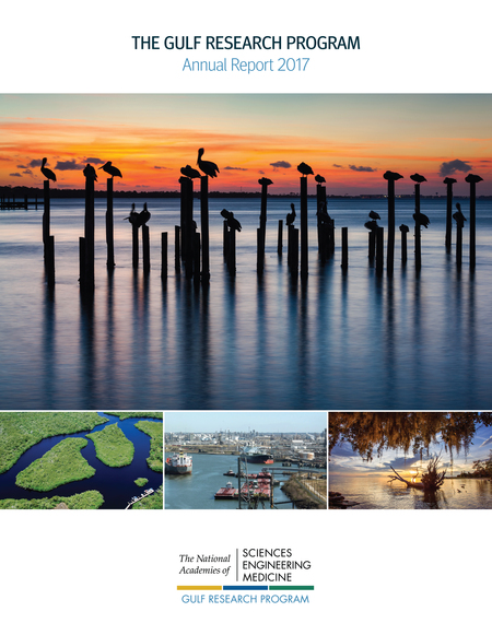 Cover: The Gulf Research Program Annual Report 2017