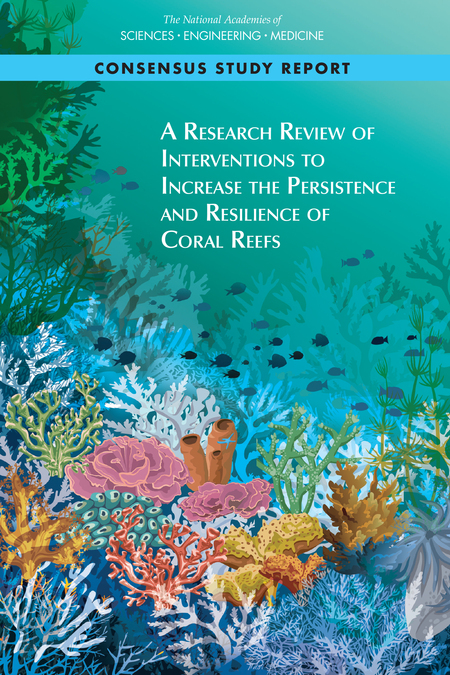 importance of coral reefs research paper