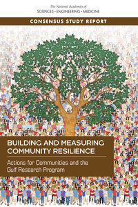 Cover Image: Building and Measuring Community Resilience