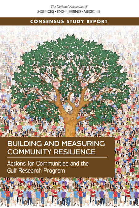 Cover: Building and Measuring Community Resilience: Actions for Communities and the Gulf Research Program
