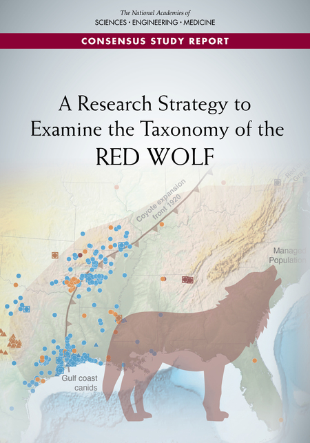 Cover: A Research Strategy to Examine the Taxonomy of the Red Wolf