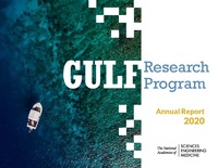 Cover Image:Gulf Research Program Annual Report 2020