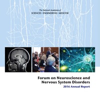 Forum on Neuroscience and Nervous System Disorders: 2016 Annual Report