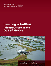 Cover Image: Investing in Resilient Infrastructure in the Gulf of Mexico