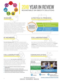 2018 Year in Review: Roundtable on Obesity Solutions