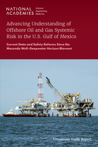 Cover Image: Advancing Understanding of Offshore Oil and Gas Systemic Risk in the U.S. Gulf of Mexico