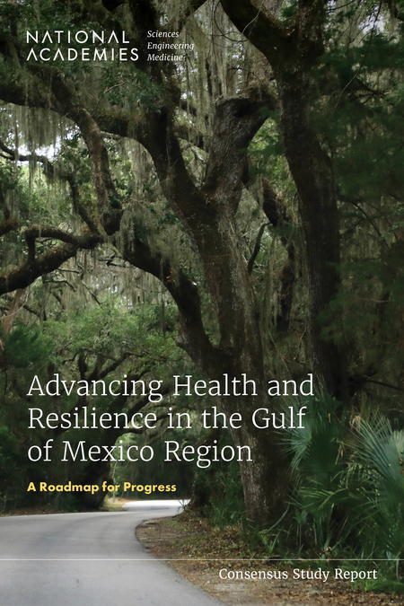 Advancing Health and Resilience in the Gulf of Mexico Region: A Roadmap for Progress