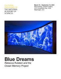 Blue Dreams: Rebecca Rutstein and the Ocean Memory Project