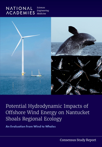 Cover Image: Potential Hydrodynamic Impacts of Offshore Wind Energy on Nantucket Shoals Regional Ecology