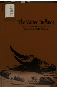 Cover Image: Water Buffalo